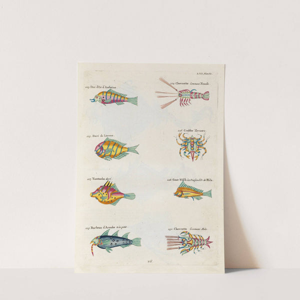 Poissons, ecrevisses et crabes, de diverses couleurs et figures extraordinaires.. Pl.096 by Louis Renard