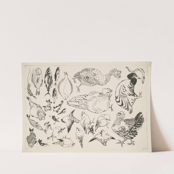 Poissons, oiseaux, poussin. (1866) by Félix Bracquemond