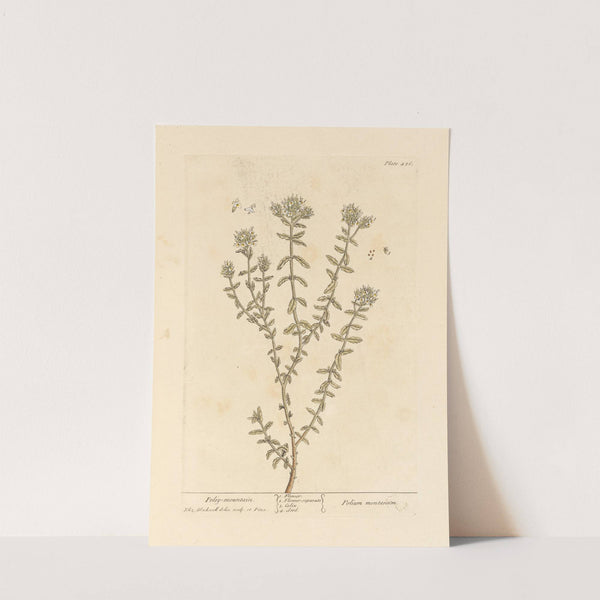 Poley mountain by Elizabeth Blackwell