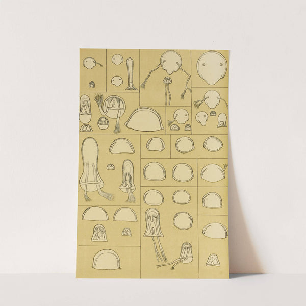 Polyzoa VII by Frederick McCoy