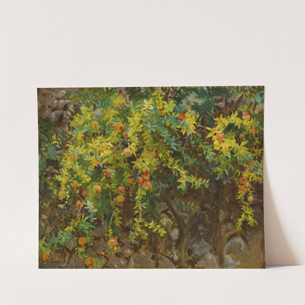 Pomegranates, Majorca by John Singer Sargent