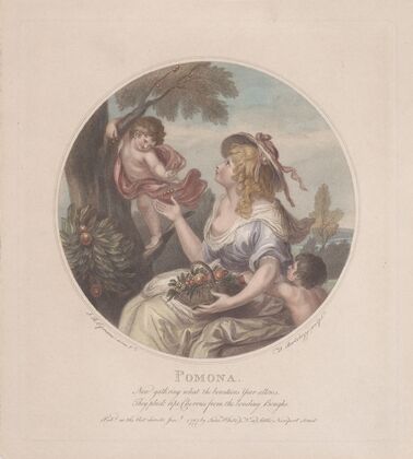 Pomona (1787)