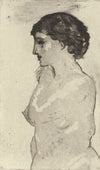 Pompeian Veil