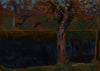 Pond