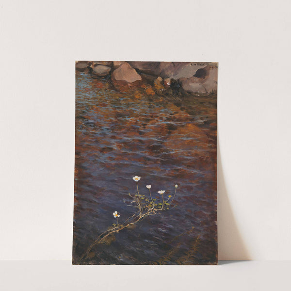 Pond Water Crowfoot by Eero Järnefelt