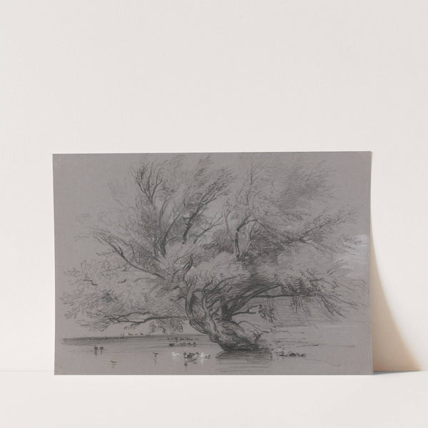 Pond with Willow Tree and Ducks by Peter DeWint