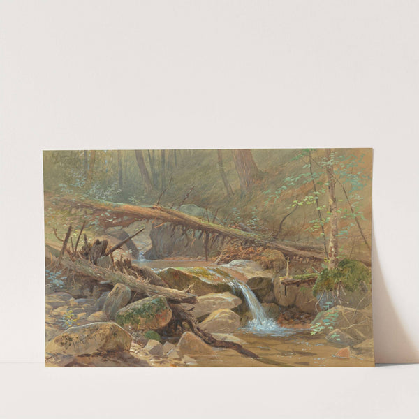 Pool in the Woods by Anonymous