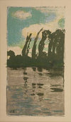 Poplars