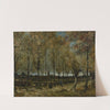 Poplars near Nuenen (1885) by Vincent van Gogh