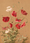 Poppies (1886)