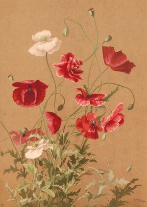 Poppies (1886)