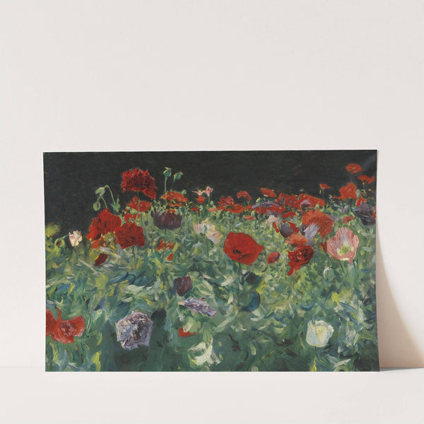 Poppies (A Study of Poppies for Carnation, Lily, Lily, Rose) by John Singer Sargent