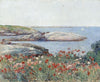Poppies,Isles of Shoals