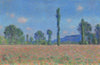 Poppy Field (Giverny) (1890)