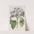 Porcelain blue Hindsia (1815-1819) by Sydenham Edwards
