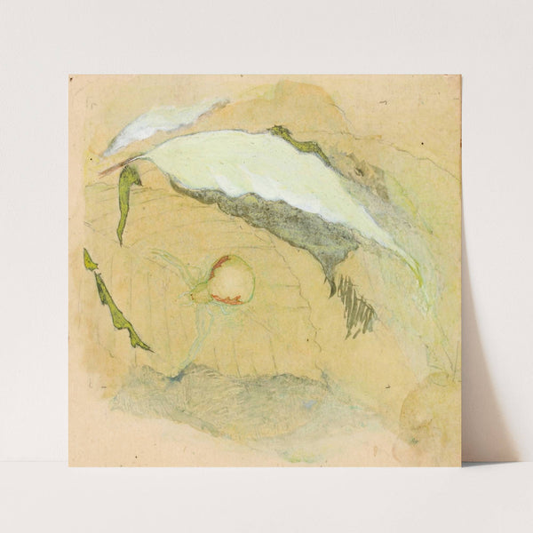 Porcelain-White Spider by Emma Beach Thayer