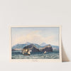 Porto da Ilha, St. Michaels, Azores by Charles Hamilton Smith