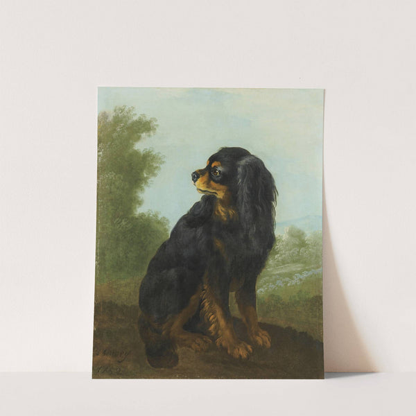 Portrait De Cavalier King Charles by Jacques-Charles Oudry