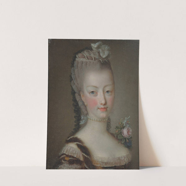 Portrait de Marie-Antoinette à l'âge de 19 by Jean-Martial Frédou