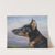 Portrait eines Dobermanns (1916) by Carl Reichert