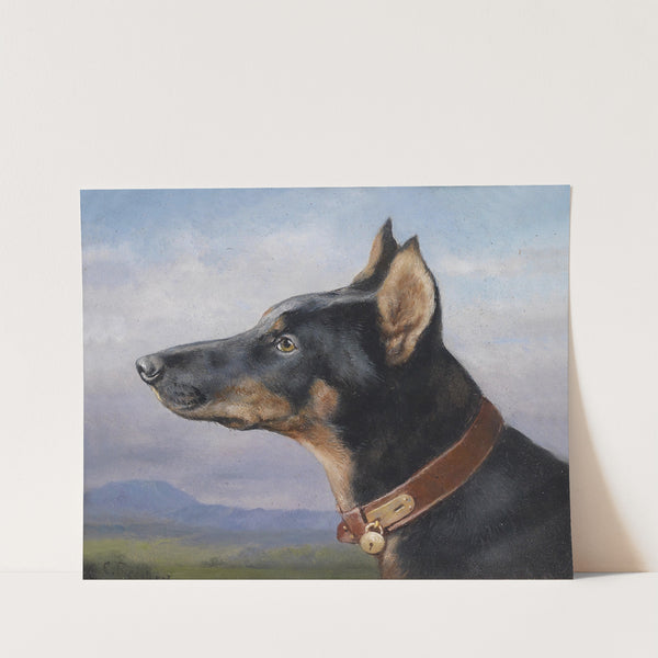 Portrait eines Dobermanns (1916) by Carl Reichert