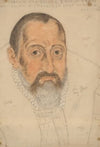 Portrait of a bearded man
