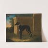 Portrait Of A Greyhound, Called Pompon by John Wootton