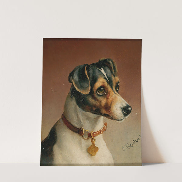 Portrait of a Jack Russel Terrier by Carl Reichert