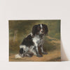 Portrait Of A King Charles Spaniel by Jules Léonard Schmitz