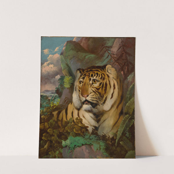 Portrait of a Tiger by Circle of William Huggins
