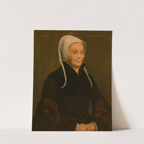 Portrait of a Woman by Pieter Pourbus