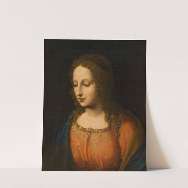 Portrait of a Woman (early 16th century) by Bernardino Luini