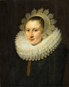Portrait of a Young Woman