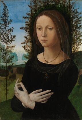 Portrait of a Young Woman — size preview