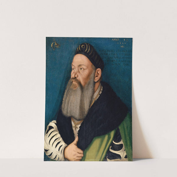 Portrait of Adelberg III. of Bärenfels (1527) by Hans Baldung