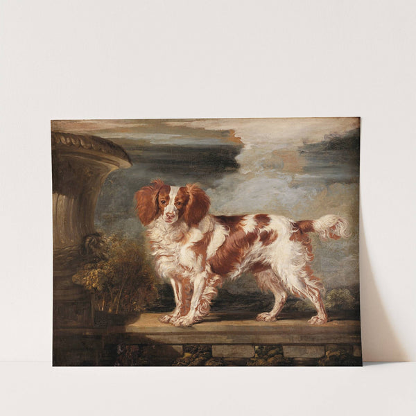 Portrait of Dash, a Favourite Spaniel, the Property of Lady Frances Vane-Tempest by James Ward