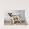 Portrait of Edwin vom Rath’s Pug by Conradijn Cunaeus