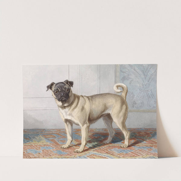 Portrait of Edwin vom Rath’s Pug by Conradijn Cunaeus