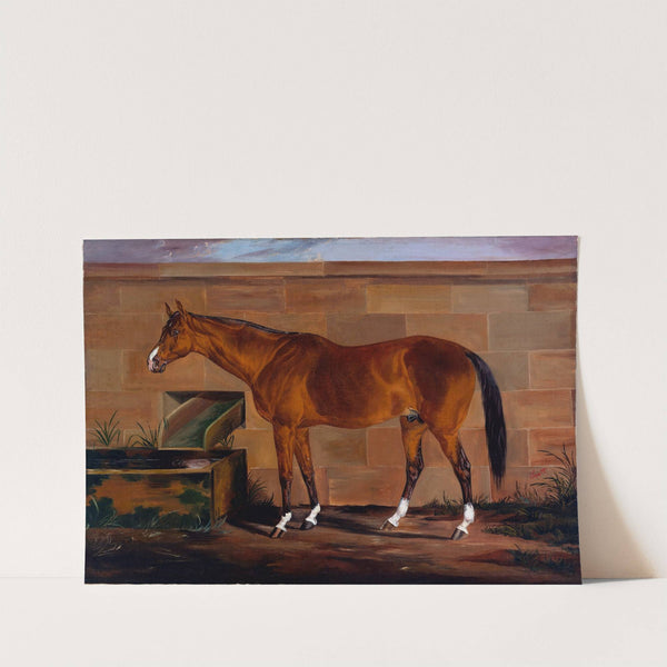 Portrait of Lexington by Thomas J. Scott