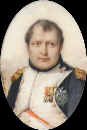 Portrait of Napoleon I, Emperor of the French (1810)