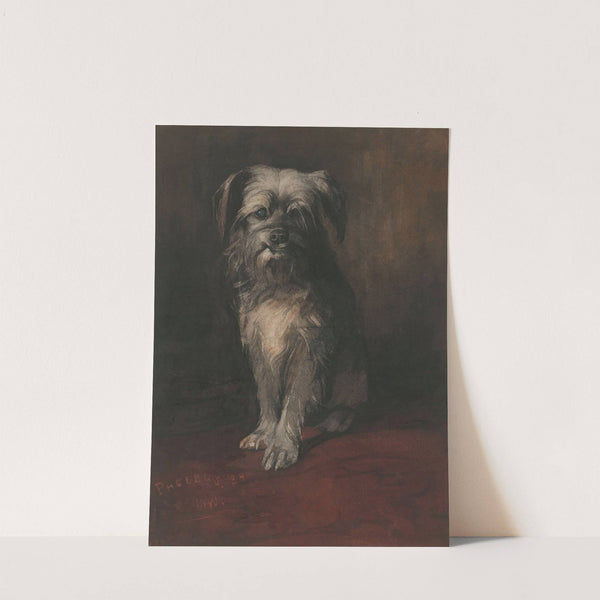 Portrait of the Dog Phoebus by Willem Witsen