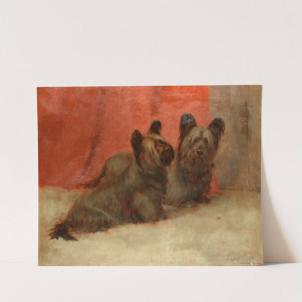 Portrait of two Skye terriers by Maud Earl