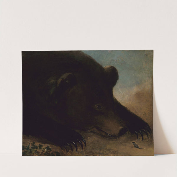 Portraits of a Grizzly Bear and Mouse, Life Size by George Catlin