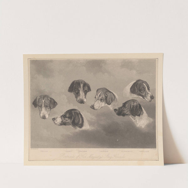 Portraits of Her Majesty’s Stag Hounds (ca. 1840) by Richard Barrett Davis
