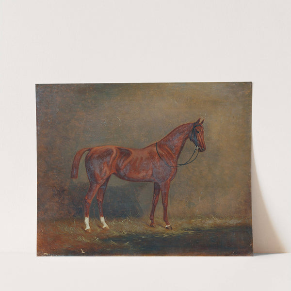 Porträt eines Reitpferdes by Monogrammist A. G.