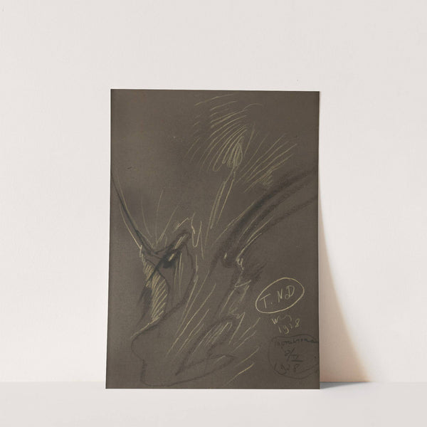 Portret Heleny Biruli-Białynickiej (1928) by Stanisław Ignacy Witkiewicz