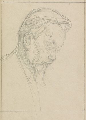 Portret van Cornelis Hofstede de Groot.