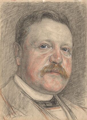Portret van R.P.J. Tutein Nolthenius