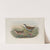 Porzana minuta. Olivaceous Crake. (1862-1873) by John Gould