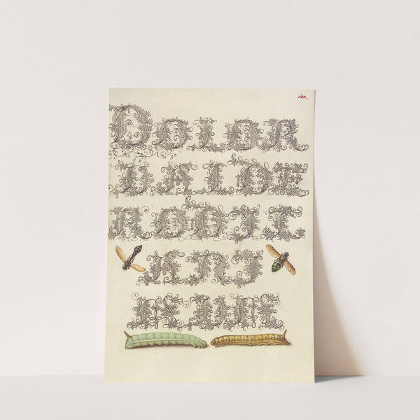 Potter Wasp, Hover Fly, and Caterpillars (1561–1596) by Joris Hoefnagel